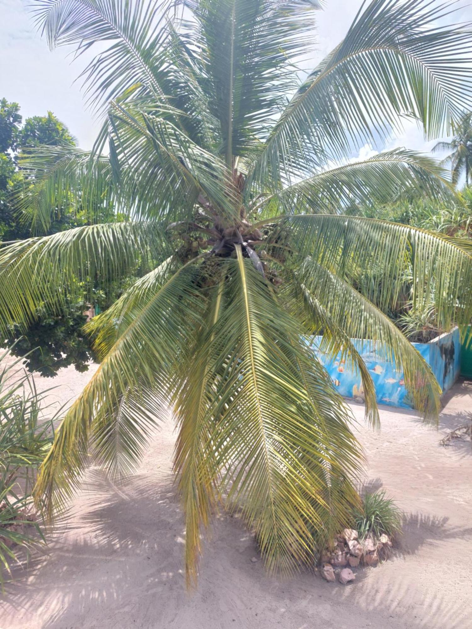 Princess Of Zanzibar Michamvi Екстериор снимка